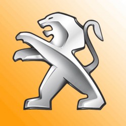 Category image for PEUGEOT ORANGE