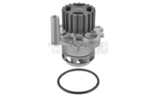 Image for Water Pump