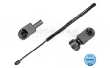 Image for Gas Spring