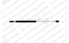 Image for Gas Spring