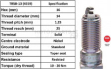 Image for Spark Plug