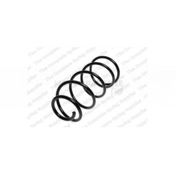 Image for Coil Spring
