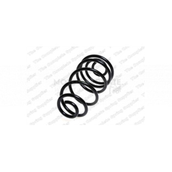 Image for Coil Spring