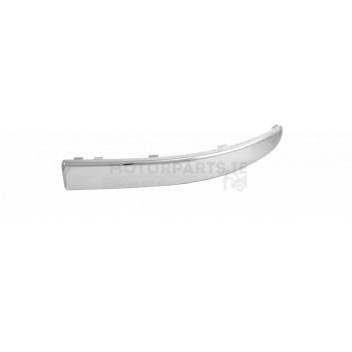 Image for Bumper Moulding