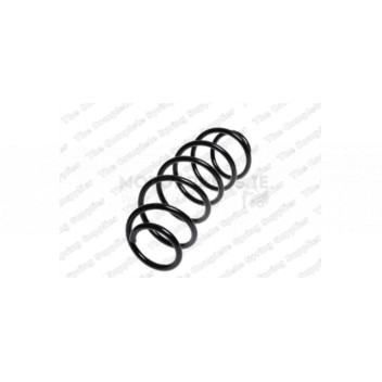 Image for Coil Spring