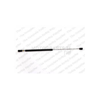Image for Gas Spring