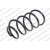 Image for Coil Spring