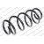 Image for Coil Spring