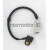 Image for Camshaft Sensor