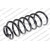 Image for Coil Spring