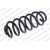 Image for Coil Spring