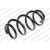 Image for Coil Spring