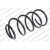 Image for Coil Spring