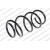 Image for Coil Spring