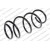 Image for Coil Spring