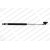 Image for Gas Spring