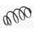 Image for Coil Spring