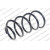 Image for Coil Spring