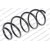 Image for Coil Spring