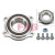 Image for Wheel Bearing Kit