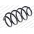 Image for Coil Spring