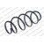 Image for Coil Spring