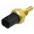 Image for Temperature Transmitter