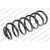 Image for Coil Spring