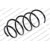 Image for Coil Spring