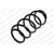 Image for Coil Spring