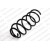 Image for Coil Spring
