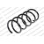 Image for Coil Spring
