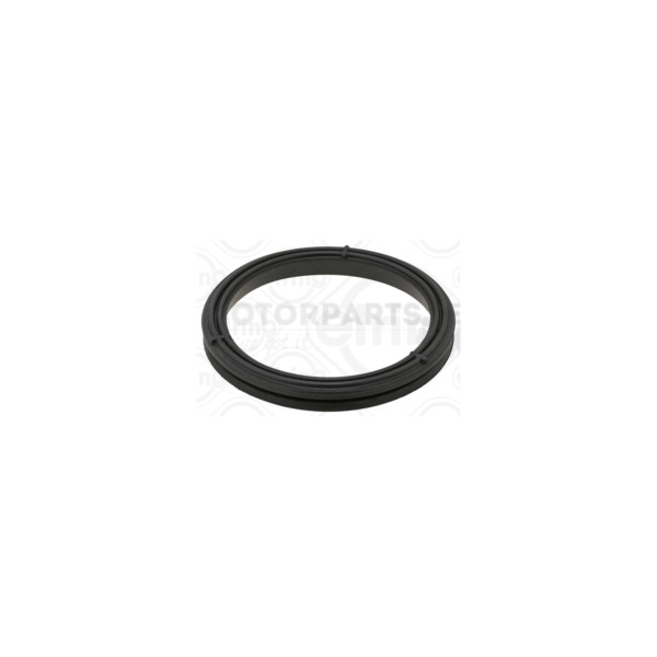 Timing Case Gasket image