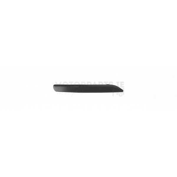 Bumper Moulding image