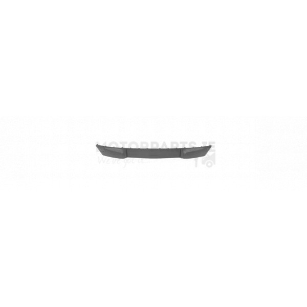 Bumper Moulding image