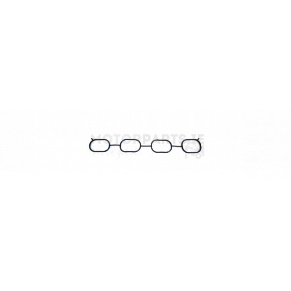 Manifold Gasket image