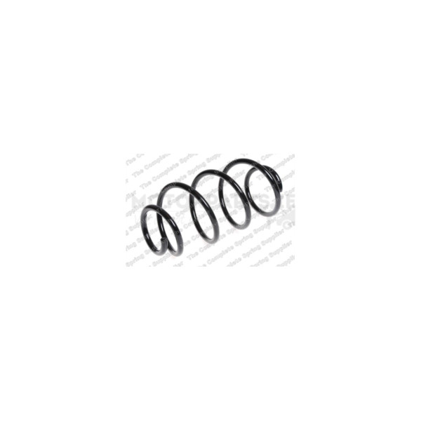 Coil Spring image