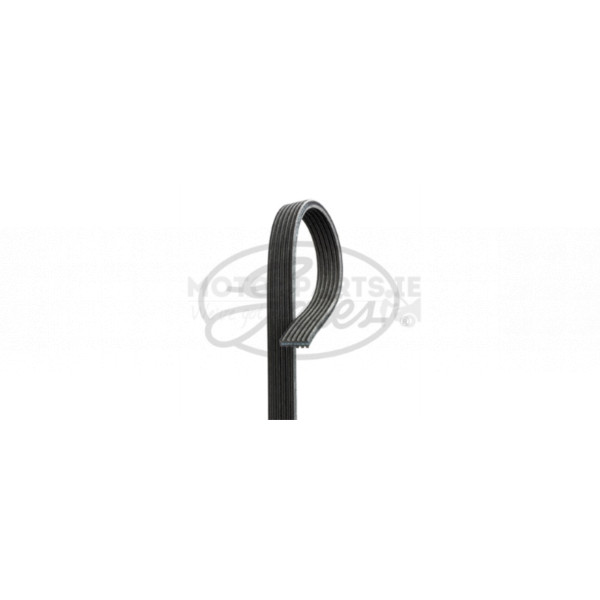 Drive Belt image
