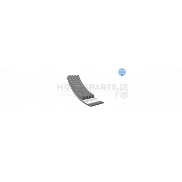 Drive Belt image