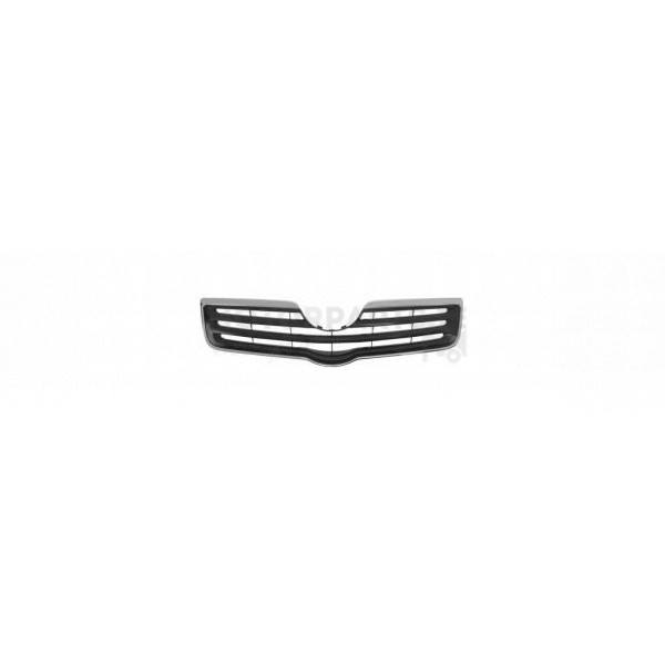 Radiator Grille image