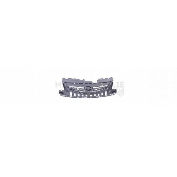 Radiator Grille image