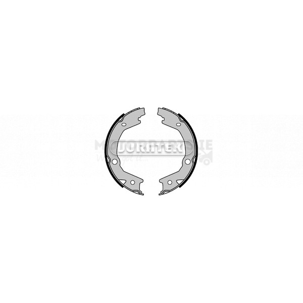 Brake Shoe Set image