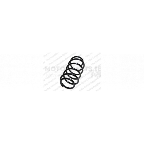 Coil Spring image