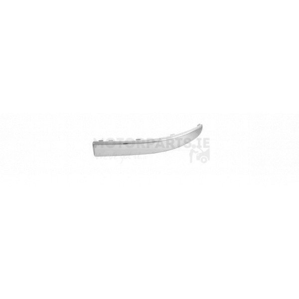 Bumper Moulding image