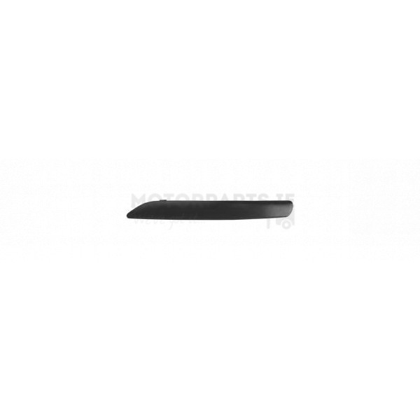 Bumper Moulding image