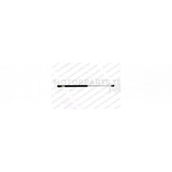 Gas Spring image