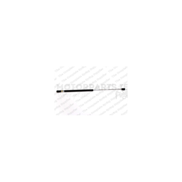 Gas Spring image