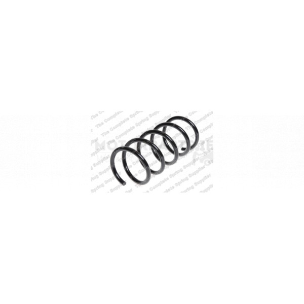 Coil Spring image